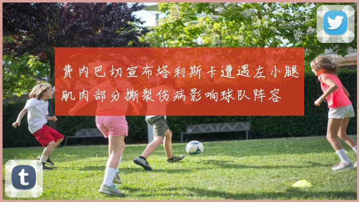 费内巴切宣布塔利斯卡遭遇左小腿肌肉部分撕裂伤病影响球队阵容
