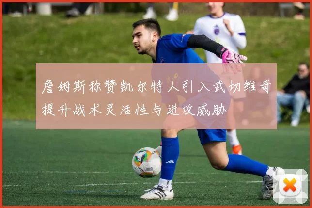 詹姆斯称赞凯尔特人引入武切维奇提升战术灵活性与进攻威胁